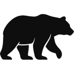 Bear Bond Epoxy