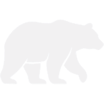 Bear Bond Epoxy